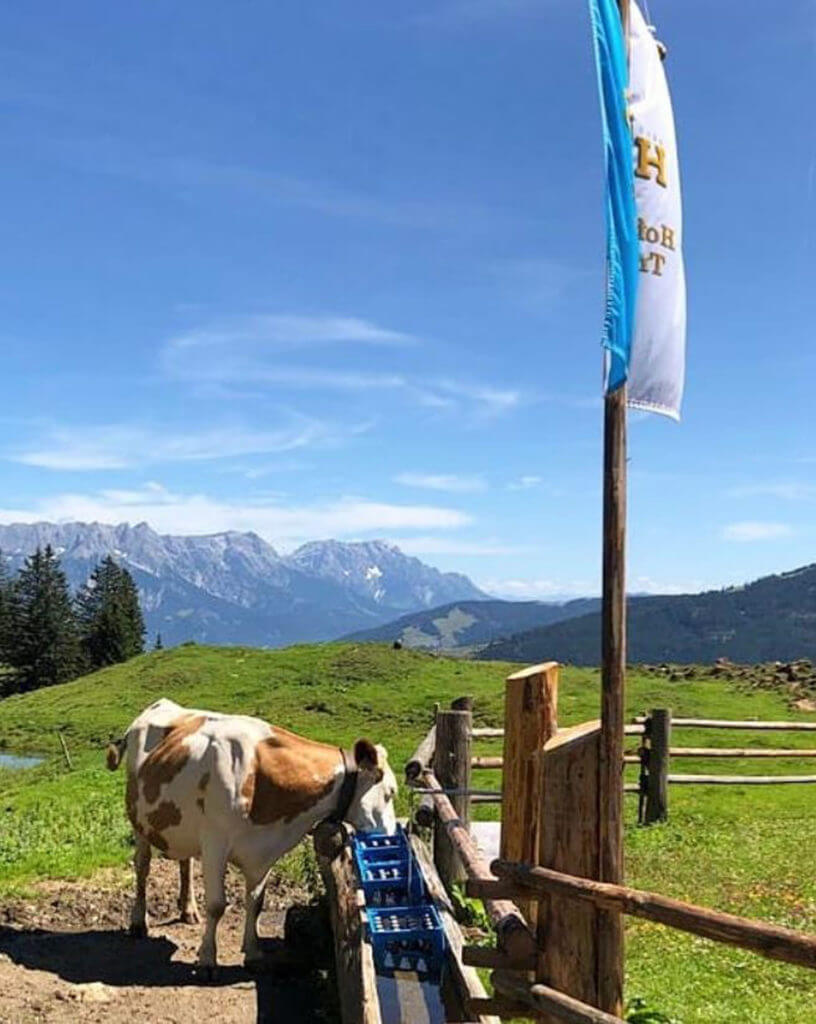 HB_Traunstein_Freiheit_Natur_Bildersammlung_07